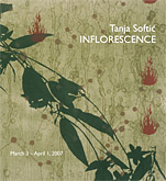 Softic brochure