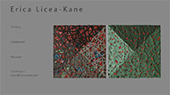 Erica Licea-Kane