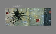 Tanja Softic